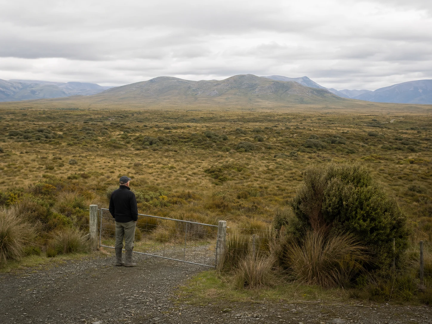A practitioner stands at a gate overlooking a broad wetland landscape and distant mountains beneath low cloud.