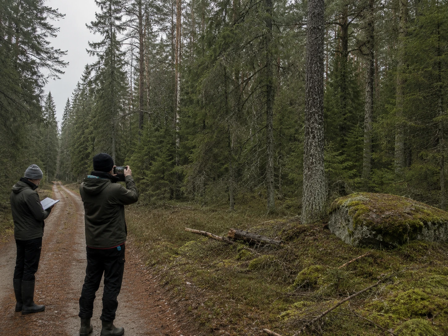Two practitioners on a forest field visit, one photographing a lichen-covered boulder while the other records field notes.