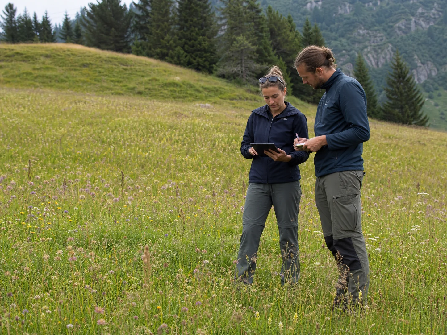 Two ecological assessors record meadow condition during structured fieldwork in the Swiss Alps.