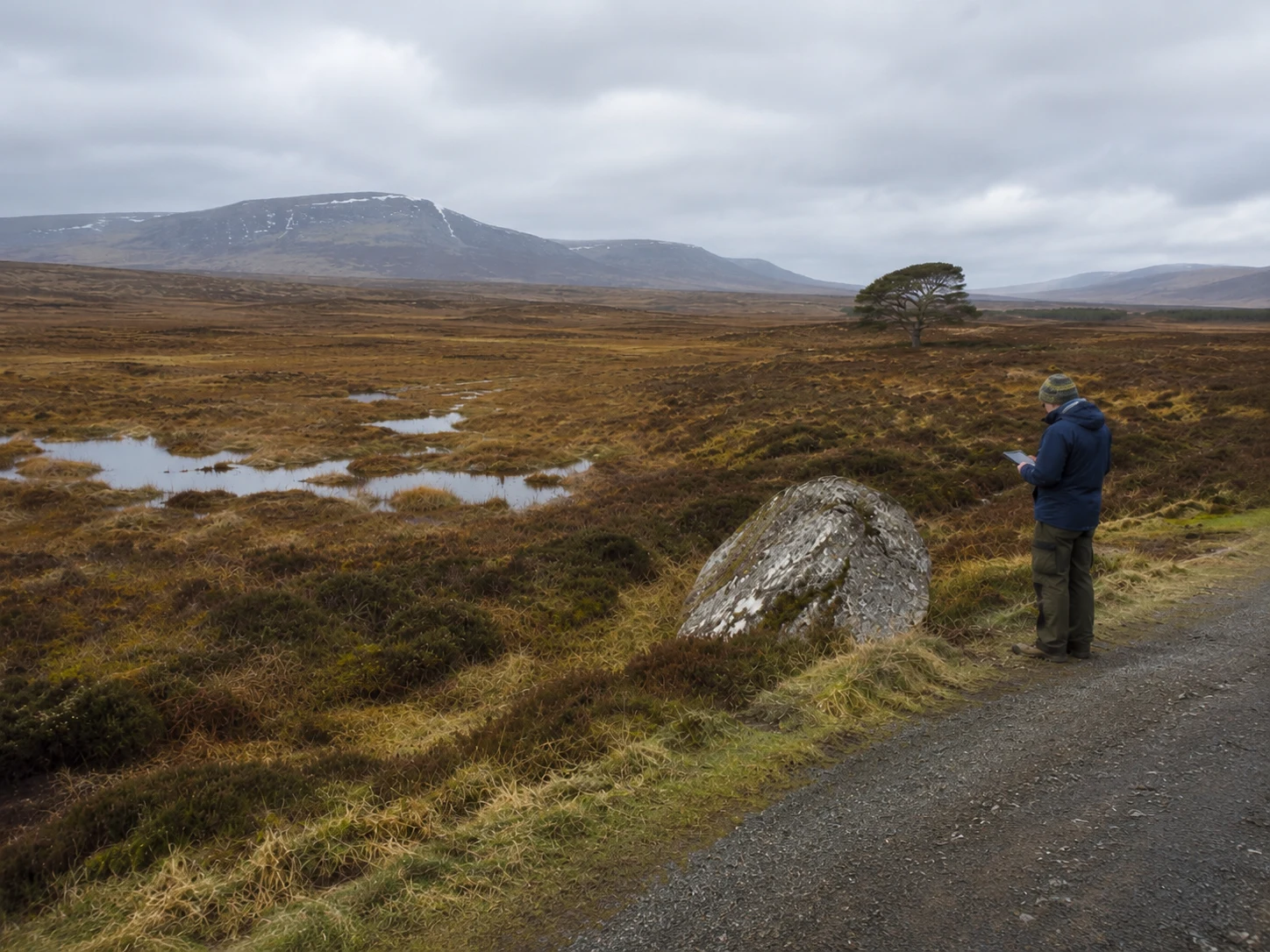 A practitioner records field observations beside an open wetland beneath cloudy mountains.