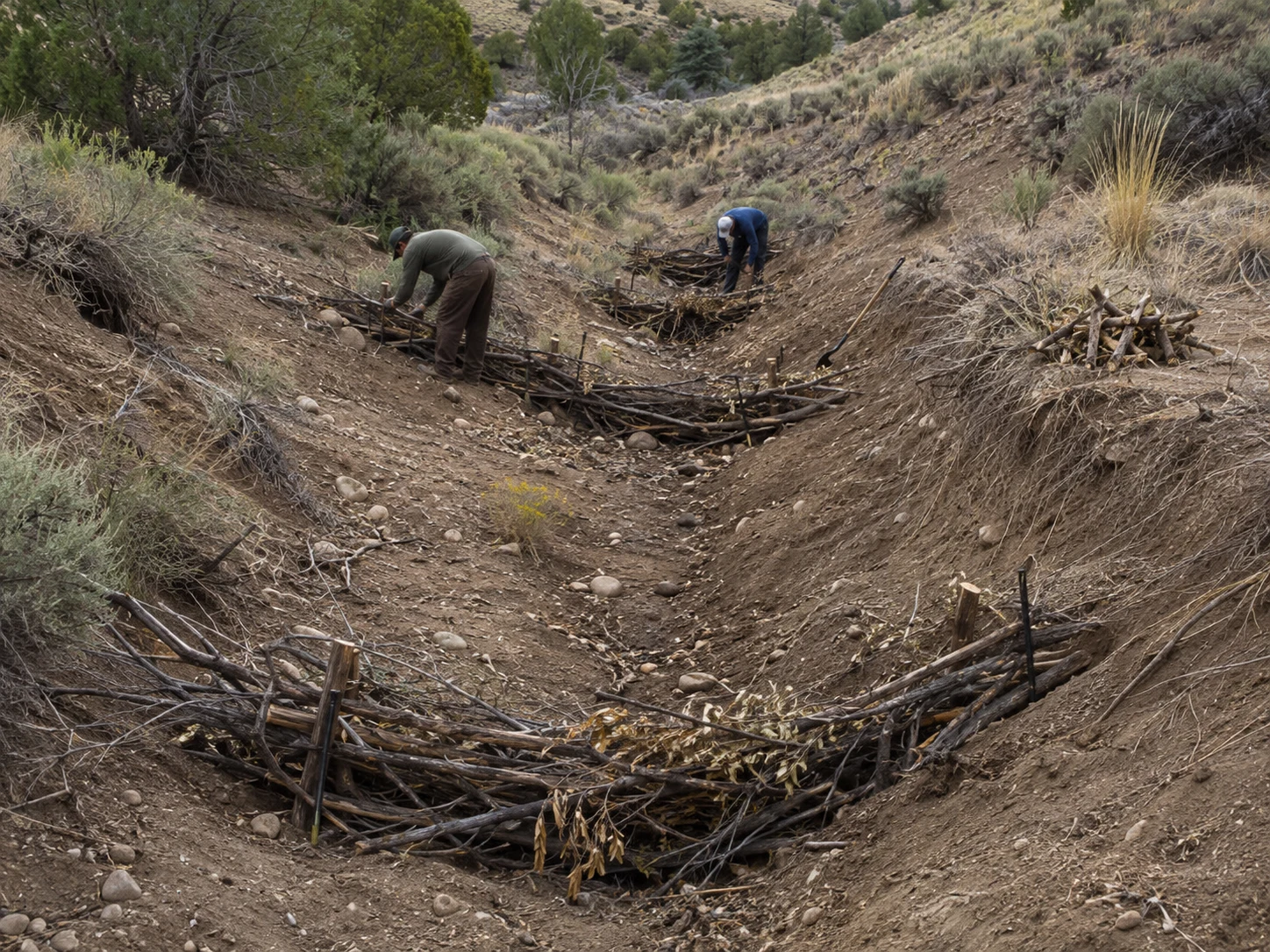 Field workers build staggered brush barriers across an eroded drainage line to slow water and retain soil.