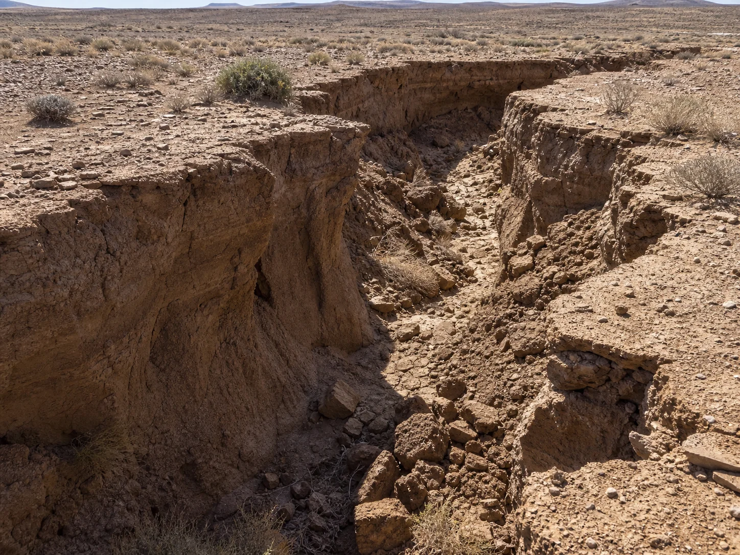 An eroded seasonal drainage line cuts through compacted soil and sparse vegetation in degraded South African veld.