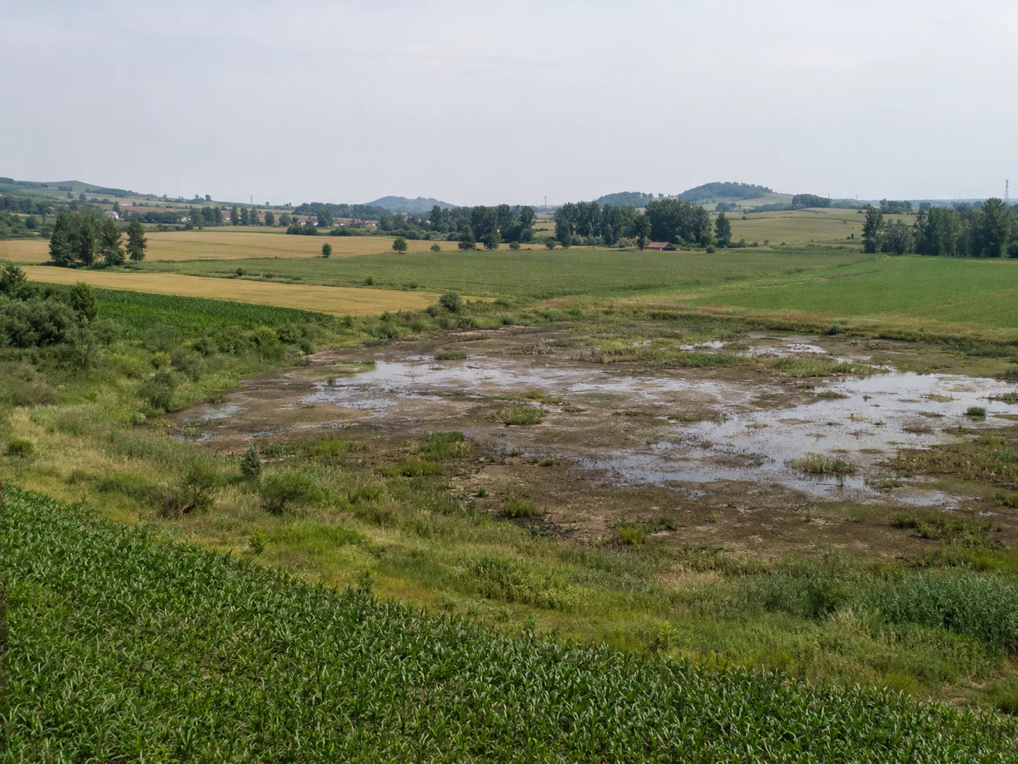 A wider working farm landscape containing one clearly identifiable degraded wetland area.